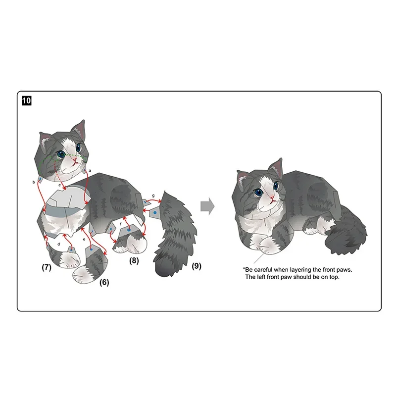 Norwegian Forest Cat Folding H - Art Craft Cardboard recension och pris