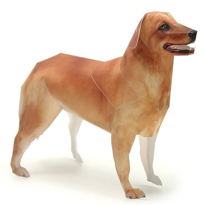 Golden Retriever Dog Paper Mod - Art Craft Cardboard recension och pris